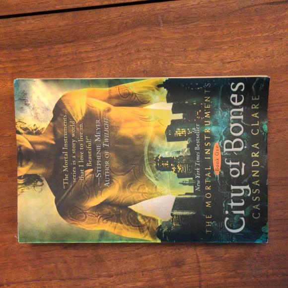 The Mortal Instruments Books 1,2 &3 - Picture 2 of 13